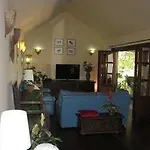 Ana * 科斯塔特吉塞