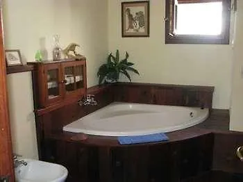 Ana Villa